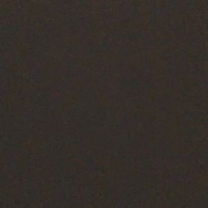 Meet your Posher, Trisha